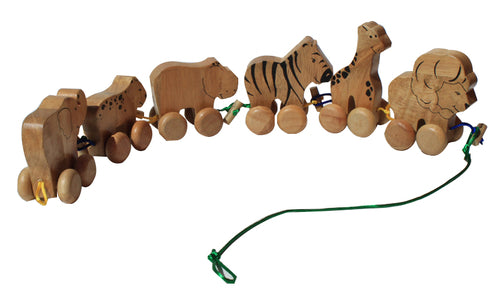 Wooden Wonder Play Set