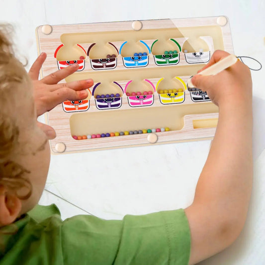 Montessori Magnetic Color Sorting Maze
