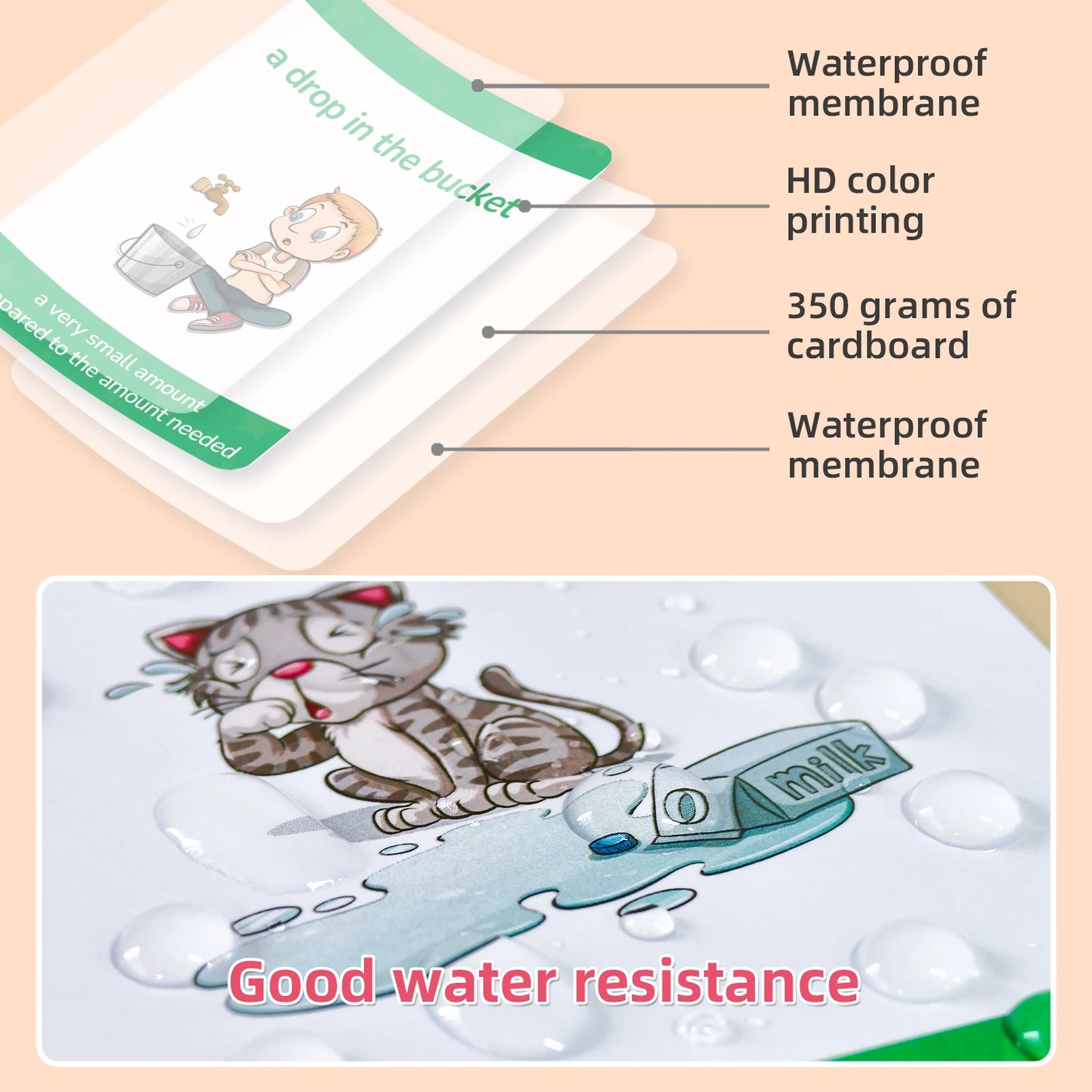 English Proverb Flashcards
