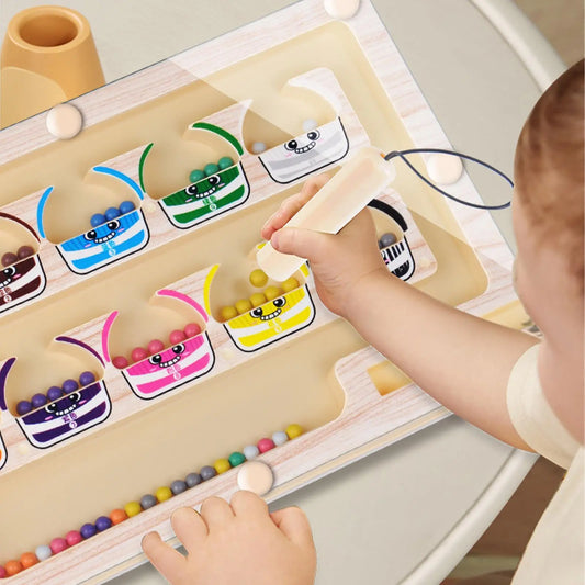 Montessori Magnetic Color Sorting Maze