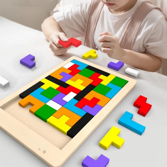 Colourful Tangram Wooden Puzzle Montessori Learning